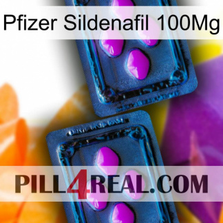 Pfizer Sildenafil 100Mg 03